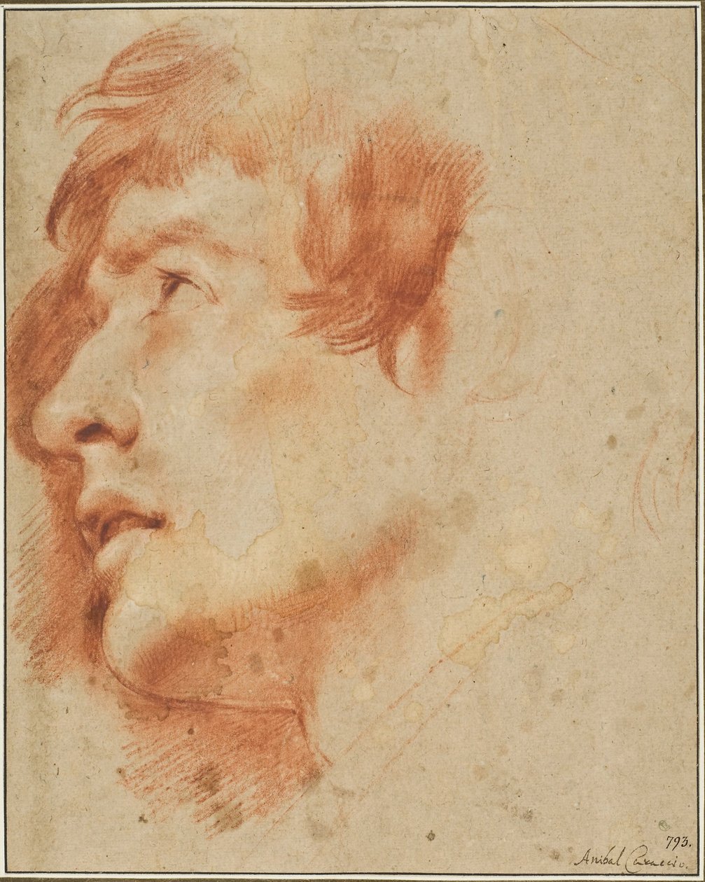 Huvud av en ung man som ser upp av Agostino Carracci