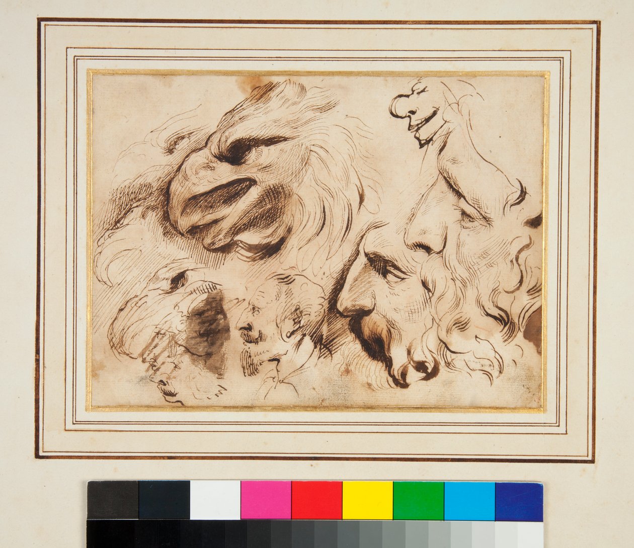 Studieark med huvudet av en örn och mäns profiler och karikatyrer (penna och brunt bläck och lite brunt tvätt) av Agostino Carracci