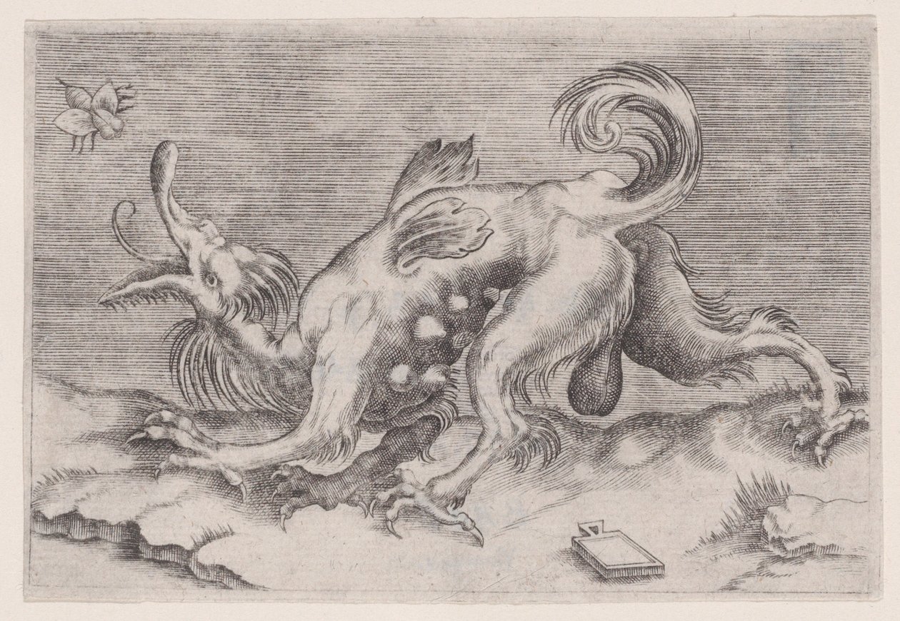 Draken och biet, ca. 1514-36. av Agostino Veneziano