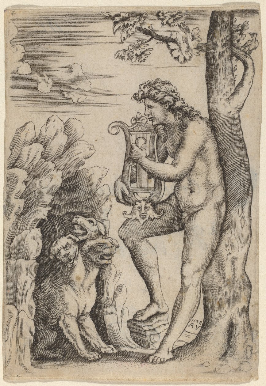 Orfeus av Agostino dei Musi