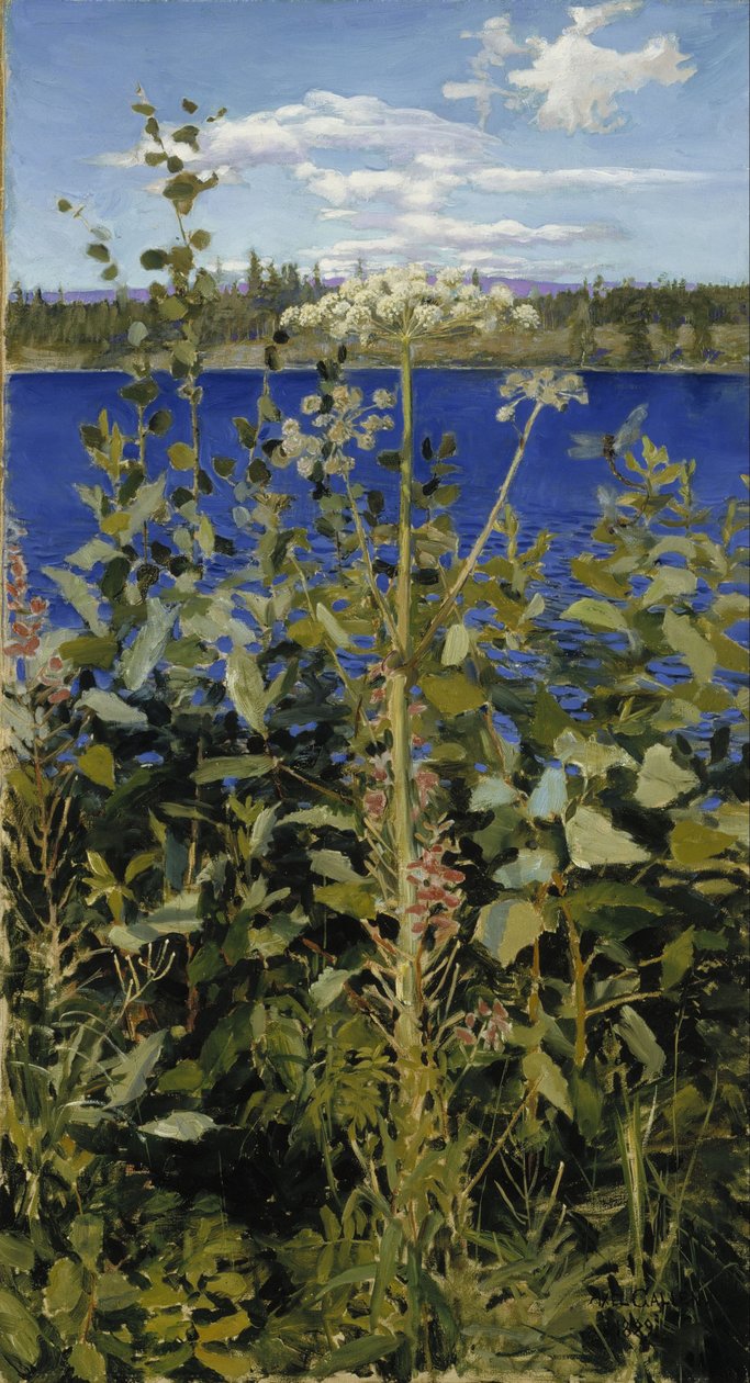 Vilda Angelica av Akseli Gallen-Kallela