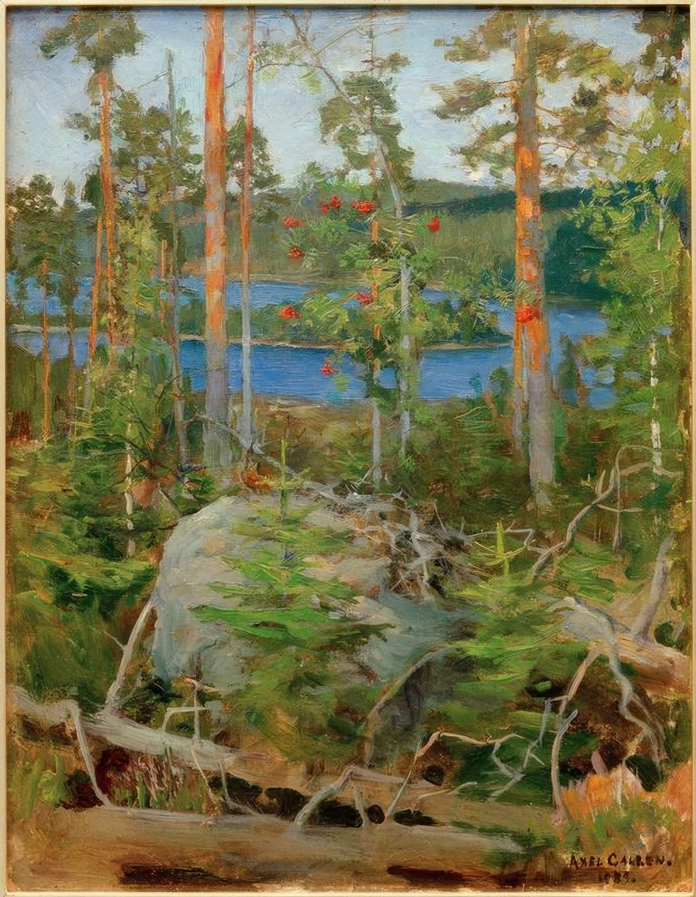 Utsikt över Jamajärvi sjön av Akseli Valdemar Gallen Kallela