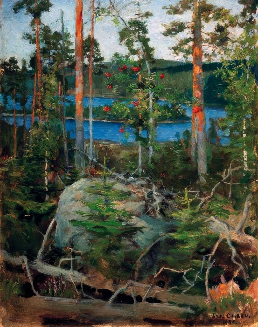 Landskap vid Jamajärvi sjö av Akseli Valdemar Gallen Kallela