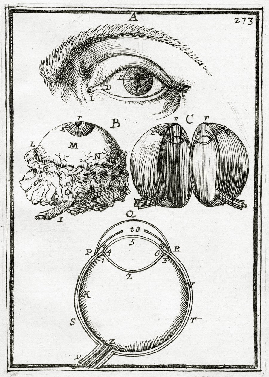 Illustration från La Geometrie Pratique 1702, av Alain Manesson Mallet
