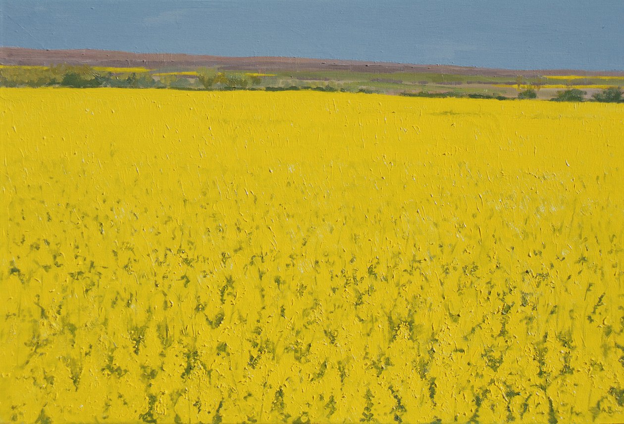 Rape Field, 2003 av Alan Byrne