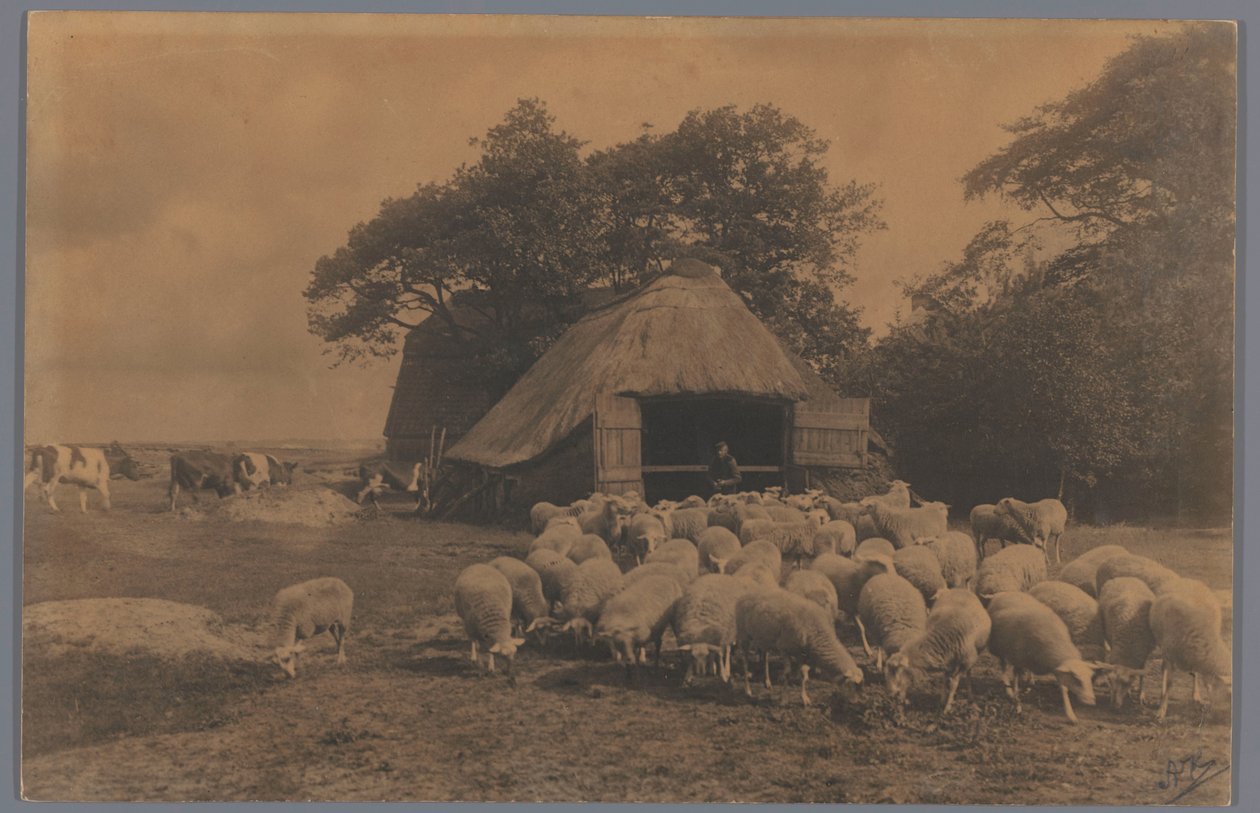 Landskap med får, kor, bonde och fårstall, Nederländerna Fårhuset Alb. Kapteyn, Haag (titel på objekt) av Alb. Kapteijn