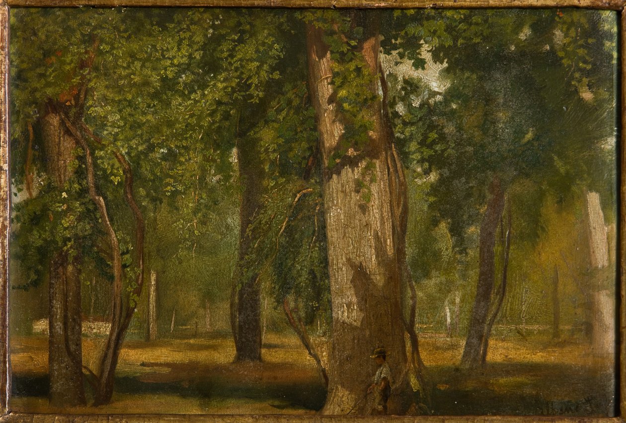 Veden (olja ombord) av Albano Lugli Carpi
