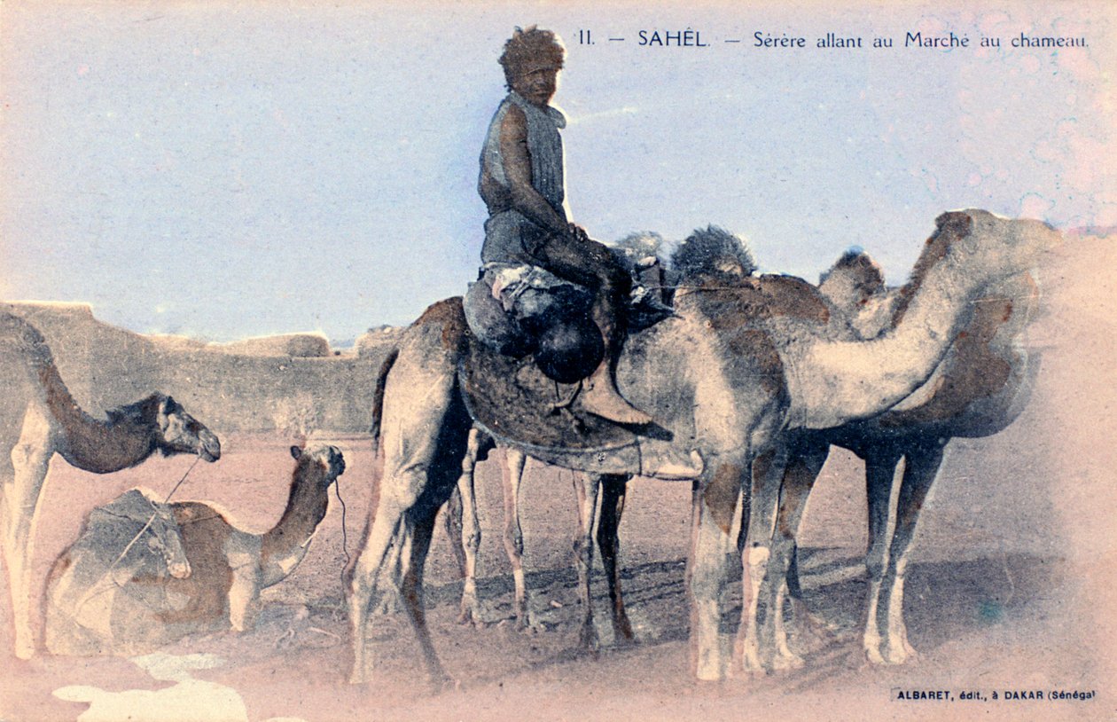 Serere, Sahel, Senegal, 1900-talet av Albaret