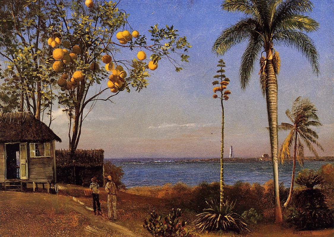 A View in the Bahamas av Albert Bierstadt