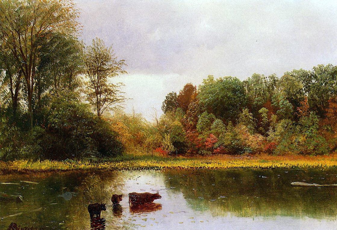 Cows Watering In A Landscape av Albert Bierstadt