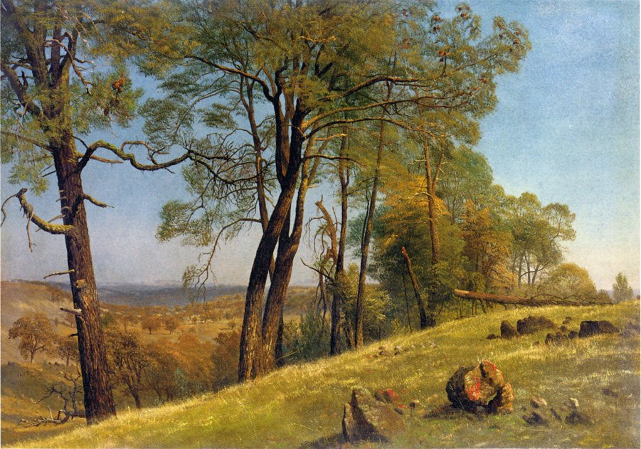 Landscape Rockland County California av Albert Bierstadt