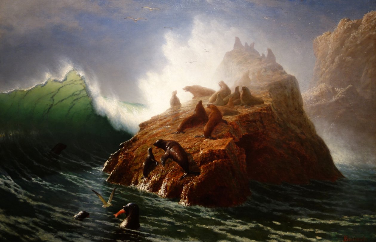 Seal Rock  av Albert Bierstadt