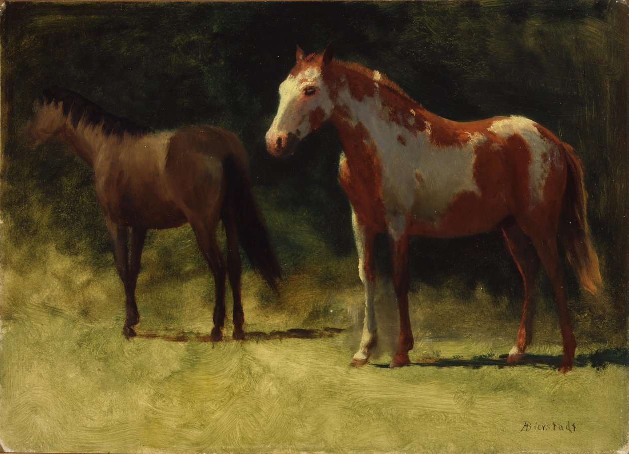 Two Horses av Albert Bierstadt