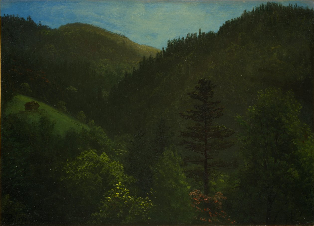Wooded Landscape av Albert Bierstadt