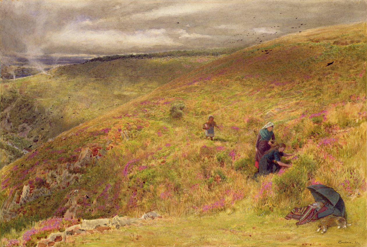 On the South Downs, 1879 (wc, kroppsfärg, bläck och utskrapa på papper) av Albert Goodwin