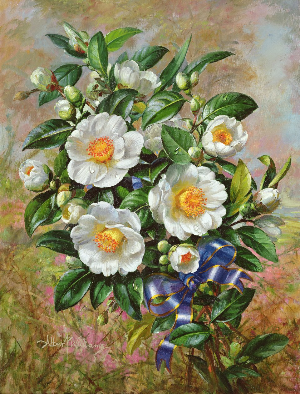 Coronation Camelia från Golden Jubilee-serien, 2002 av Albert Williams