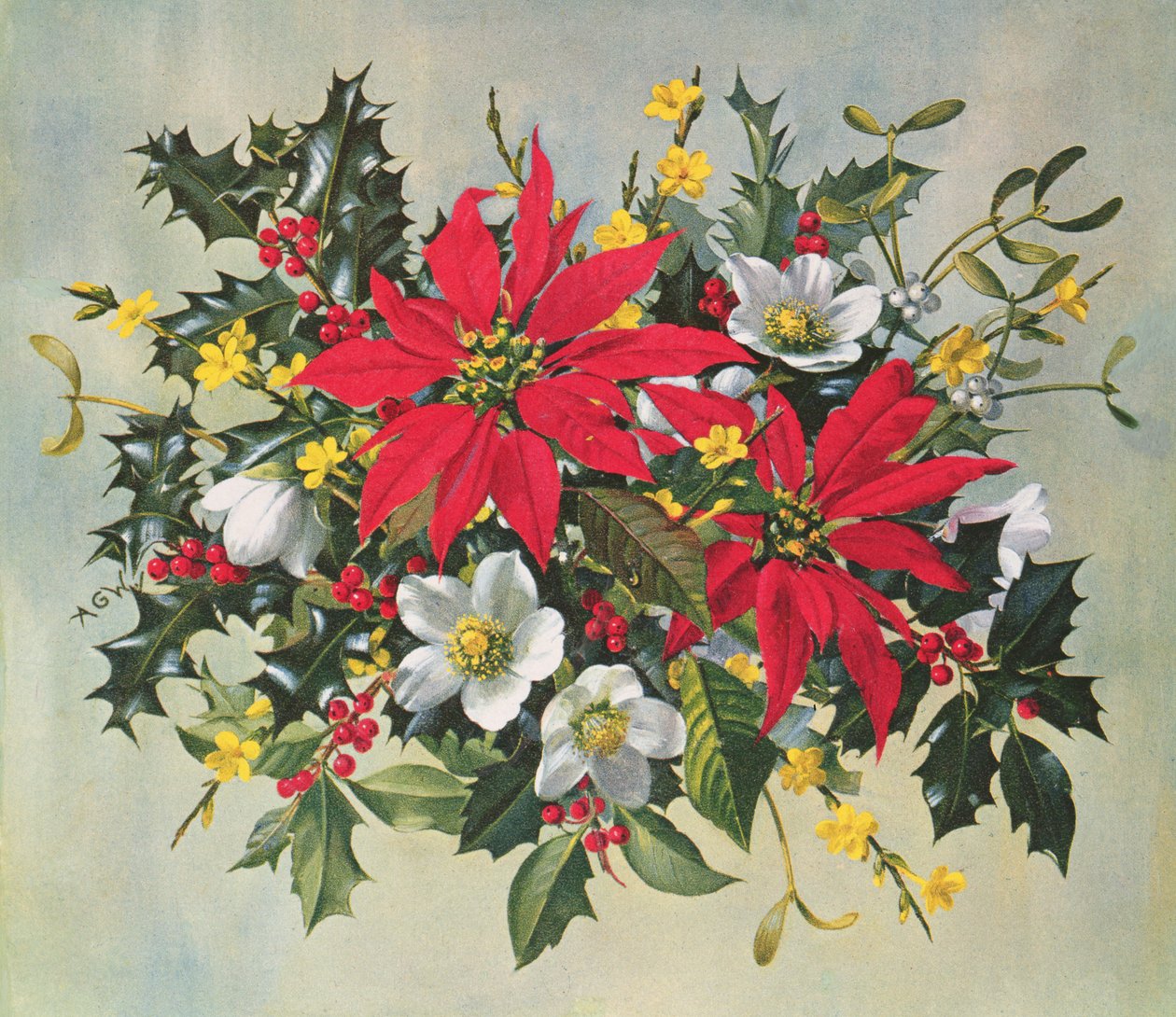 PB274 Julblommor av Albert Williams