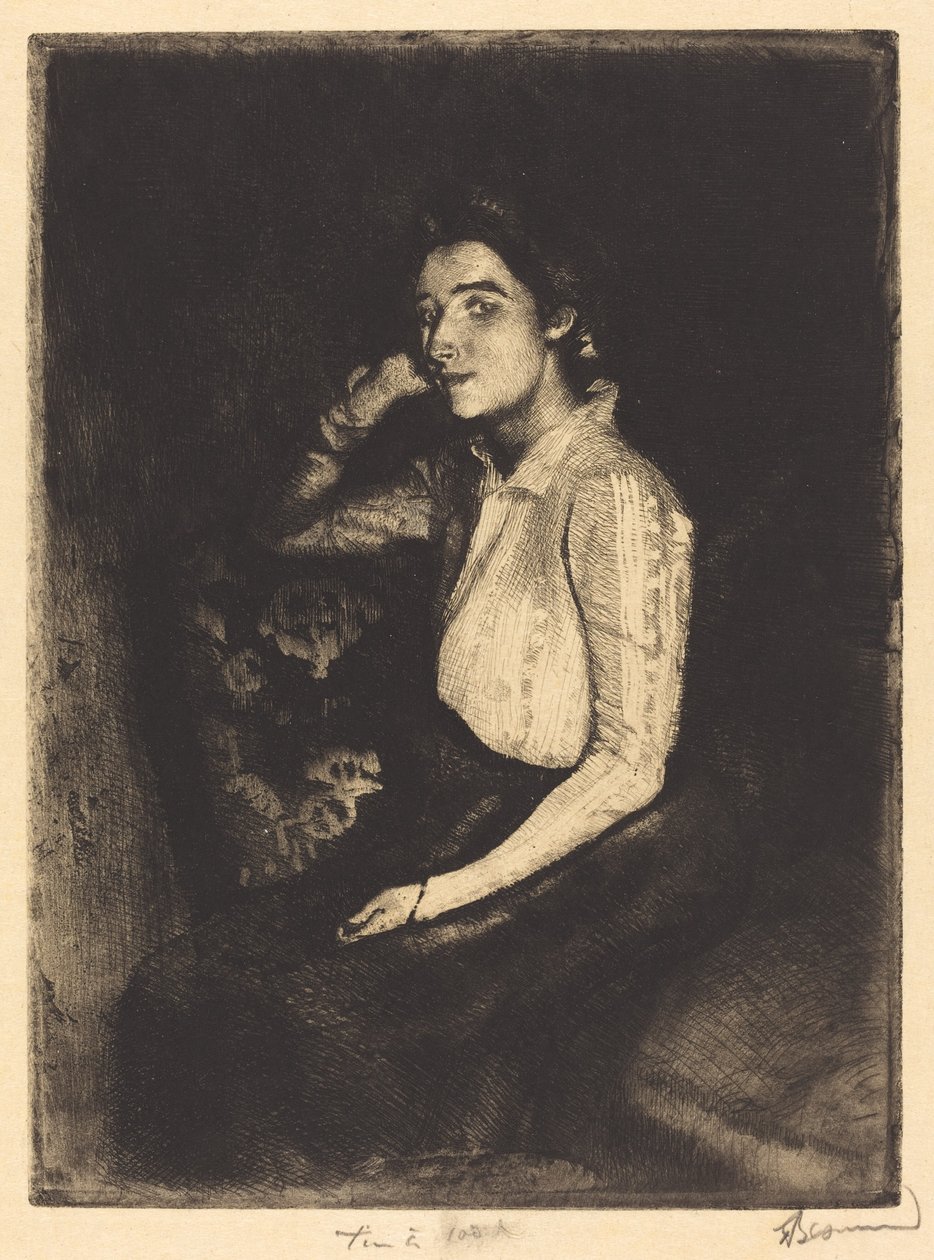biarroten av Albert Besnard