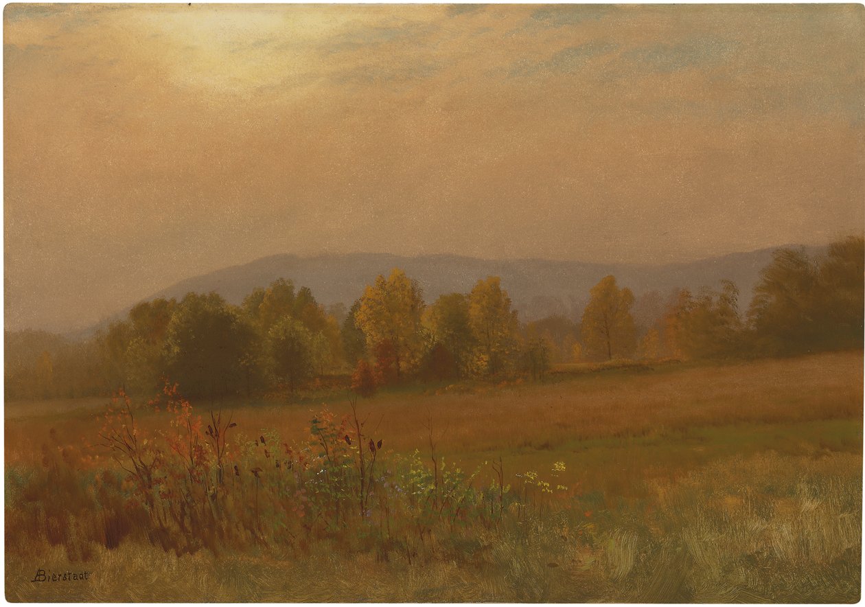 Höstlandskap, New England (olja på papper ombord) av Albert Bierstadt