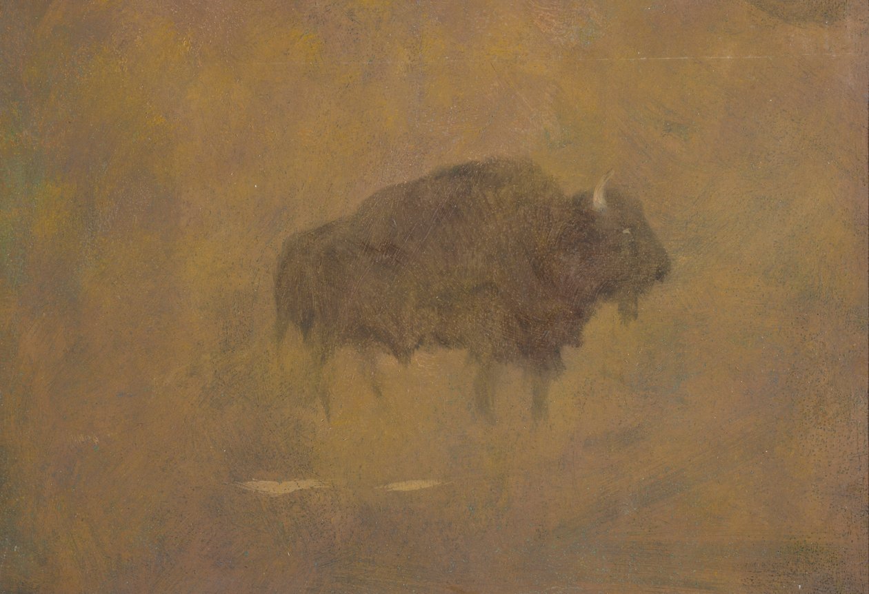 Buffalo in a Sandstorm (olja på papper monterad ombord) av Albert Bierstadt