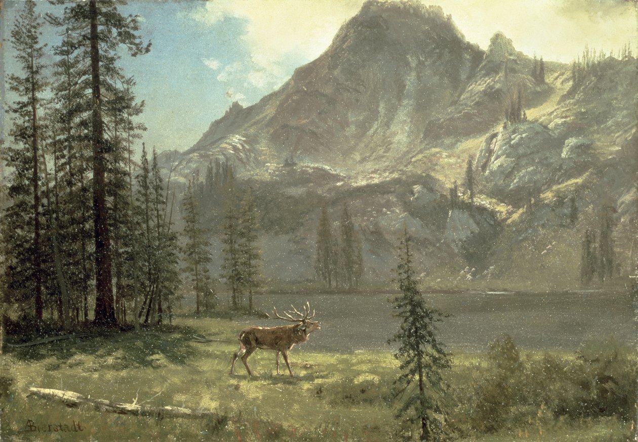 Skriet från Vildmarken av Albert Bierstadt