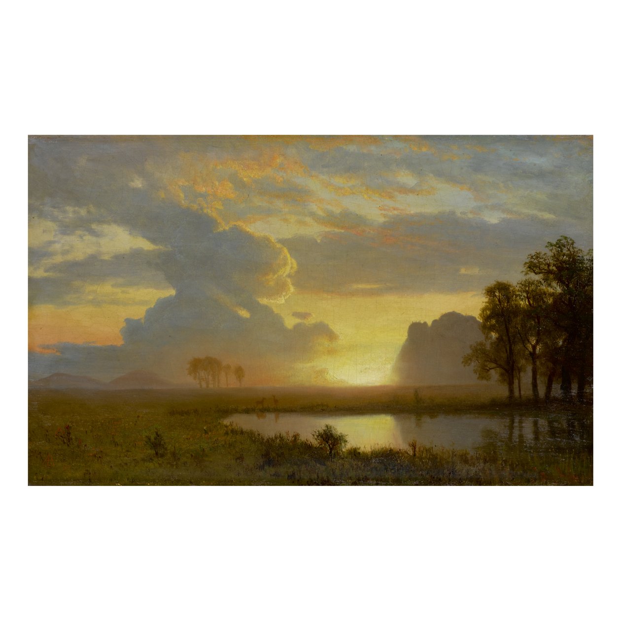 ESTES PARK, COLORADO av Albert Bierstadt