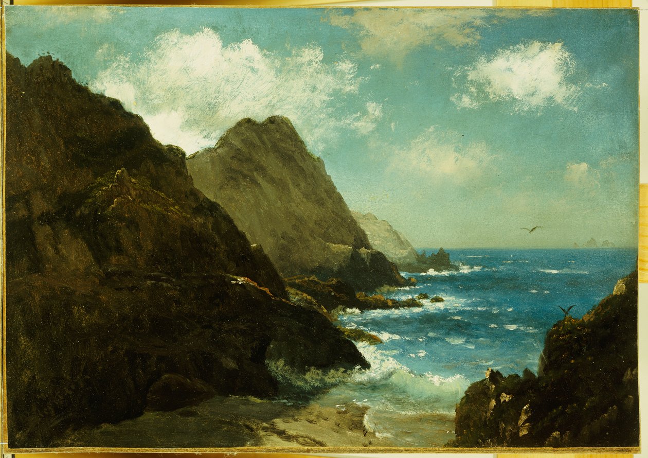 Farallonöarna av Albert Bierstadt