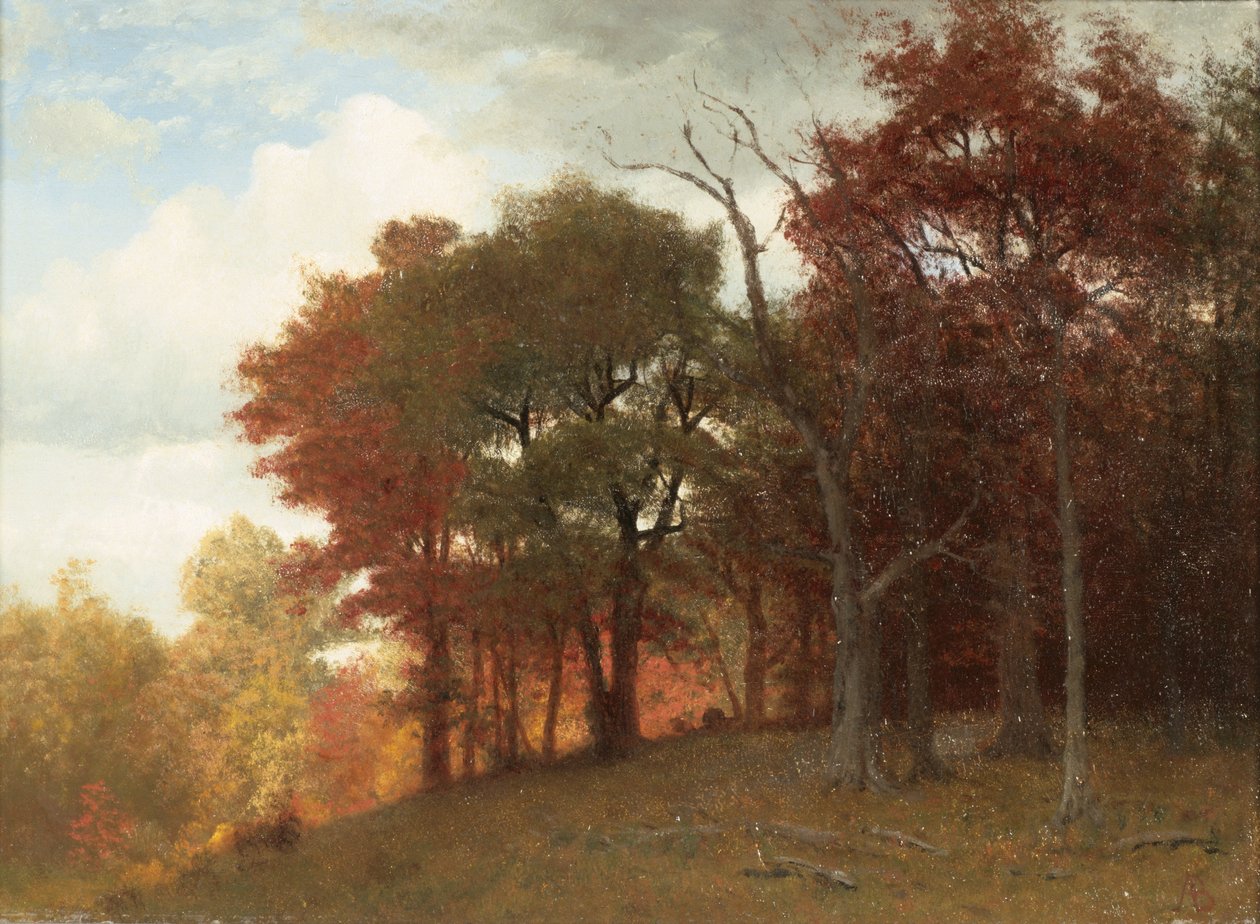 Hastings on the Hudson River, 1865 (olja på linne) av Albert Bierstadt