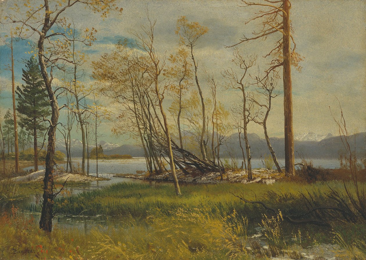 Lake Tahoe av Albert Bierstadt
