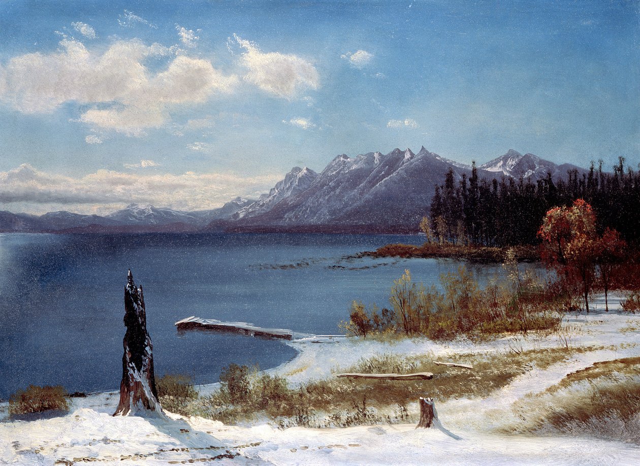 Lake Tahoe av Albert Bierstadt