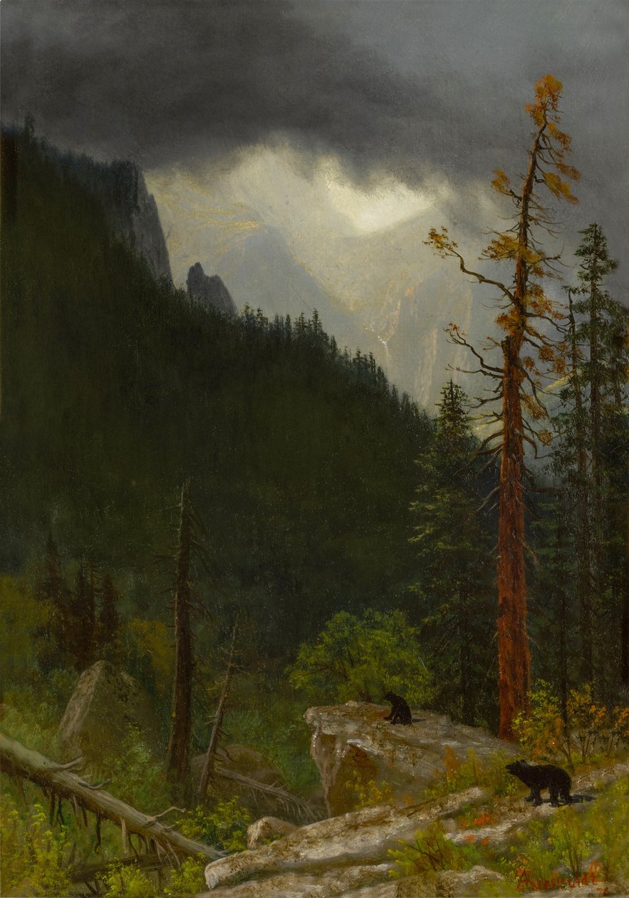 Rockies efter en storm av Albert Bierstadt