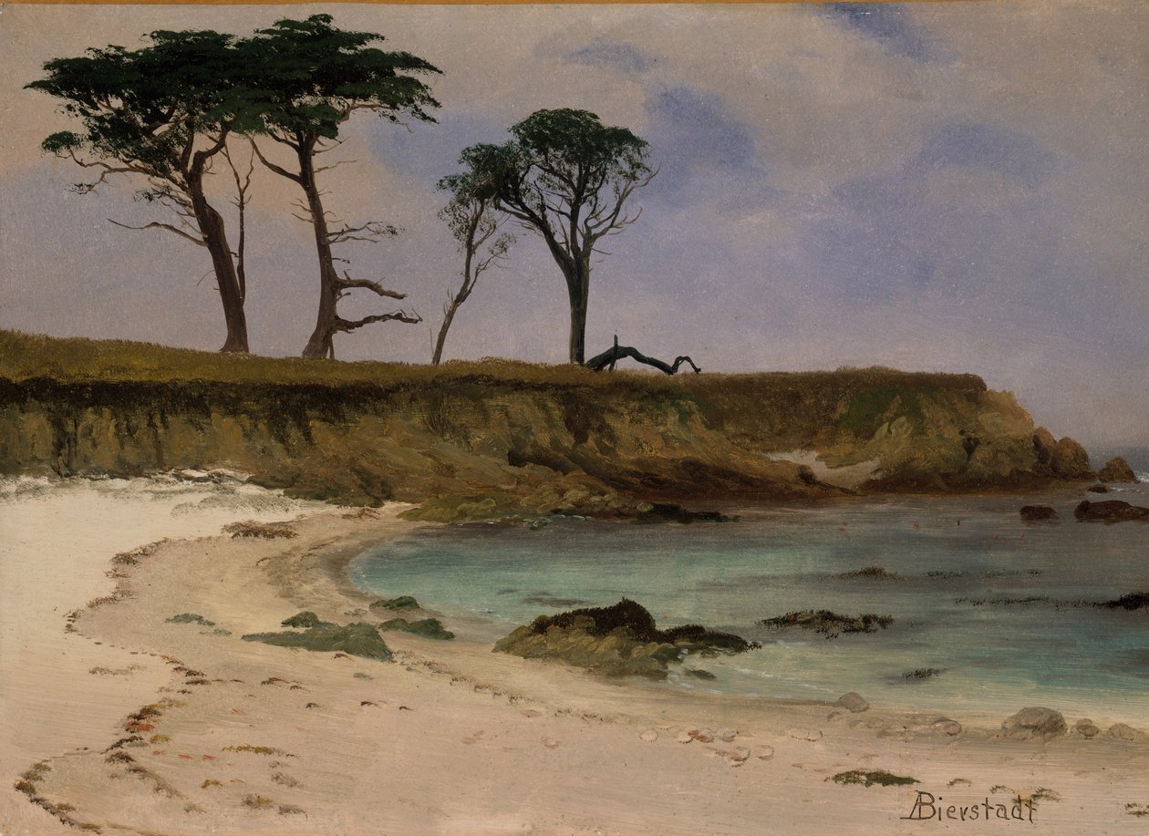 Sea Cove, ca 1880-90 (olja på trä) av Albert Bierstadt