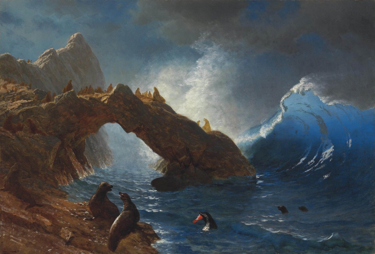 Sälar på klipporna av Albert Bierstadt