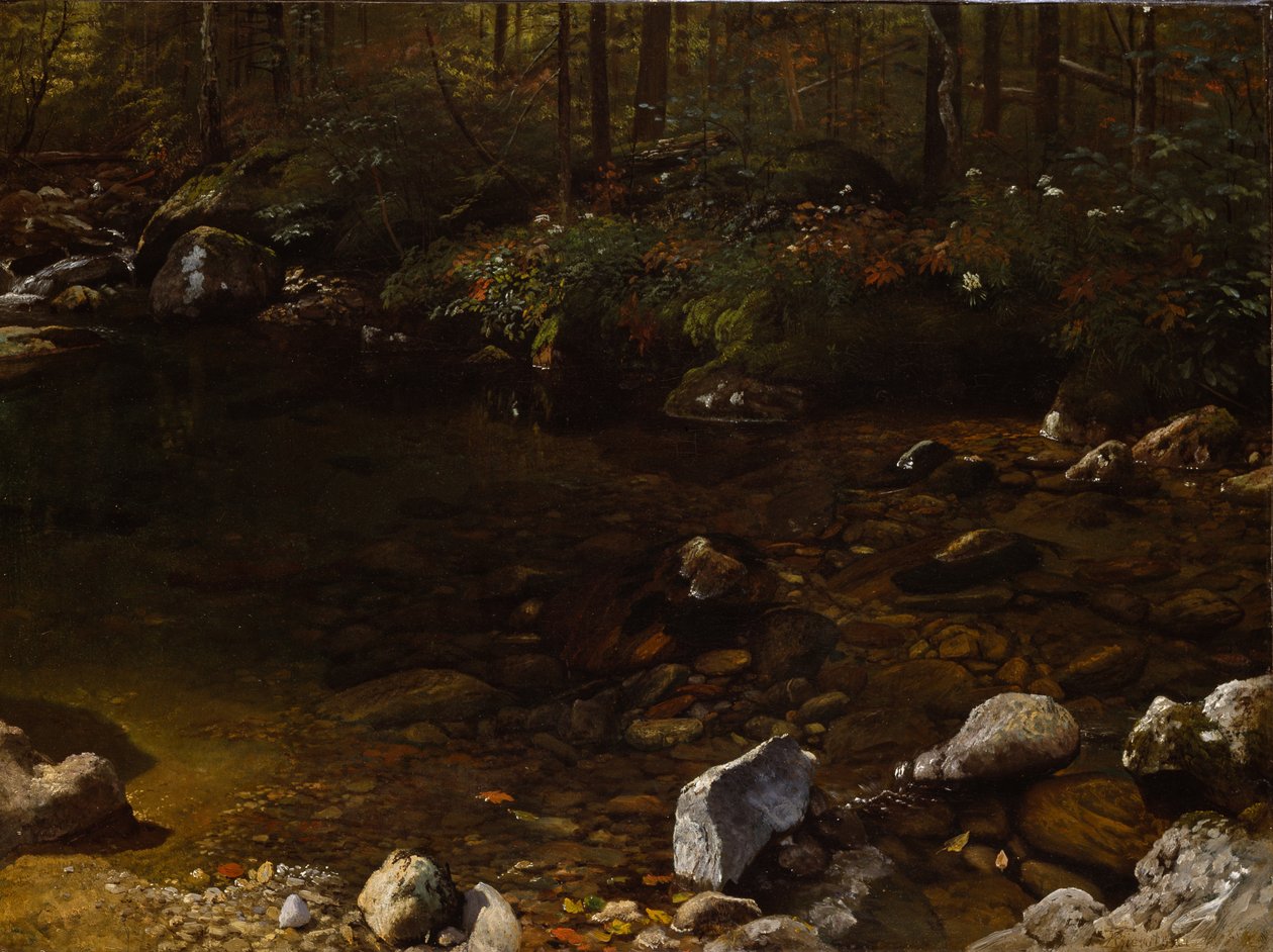 Skuggig damm, White Mountains, New Hampshire av Albert Bierstadt