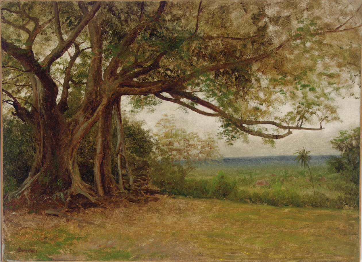 Studie för "The Landing of Columbus", 1892 av Albert Bierstadt