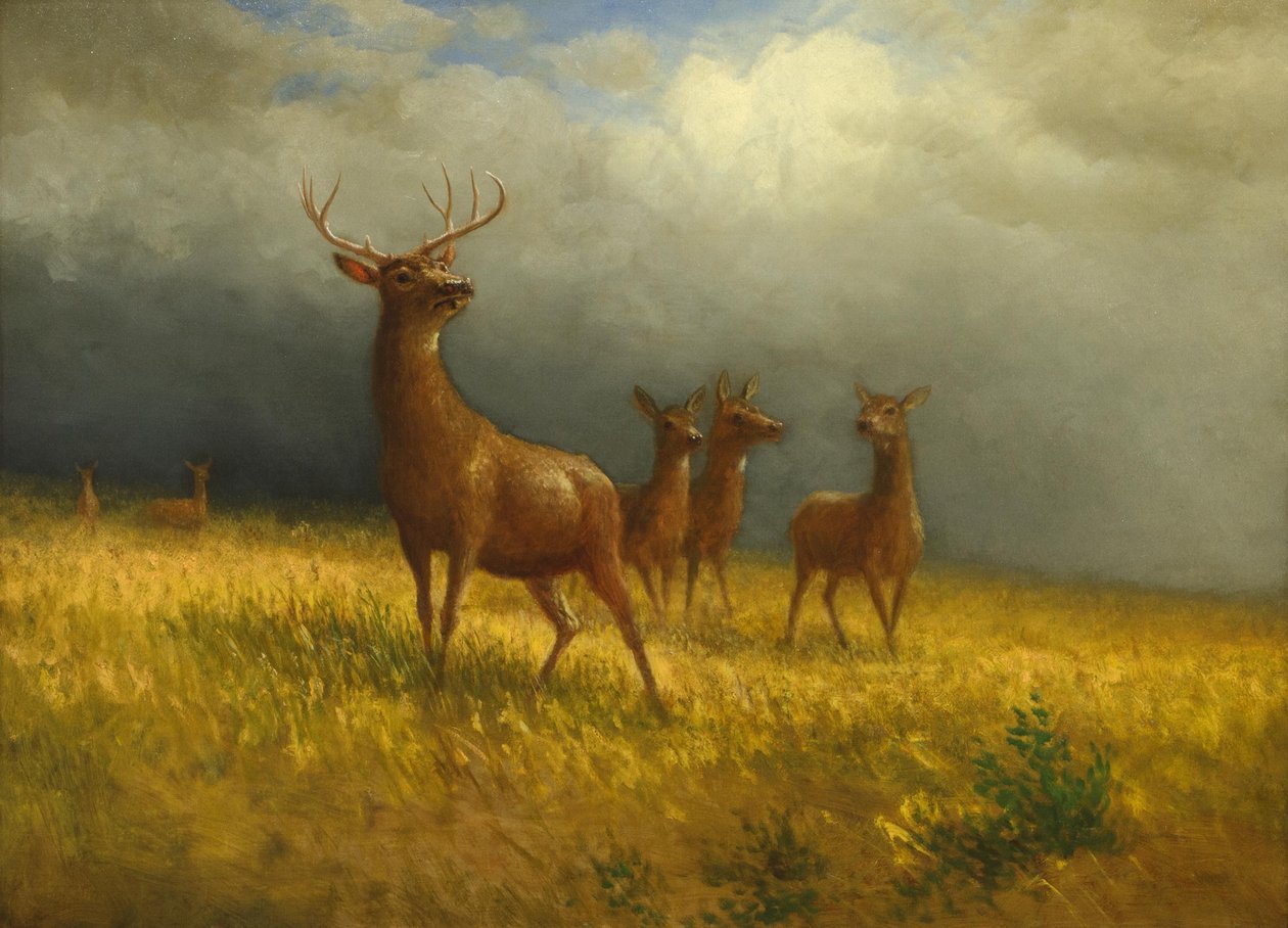 "Tre hjortar och en hjort" av Albert Bierstadt, ca 1885 av Albert Bierstadt