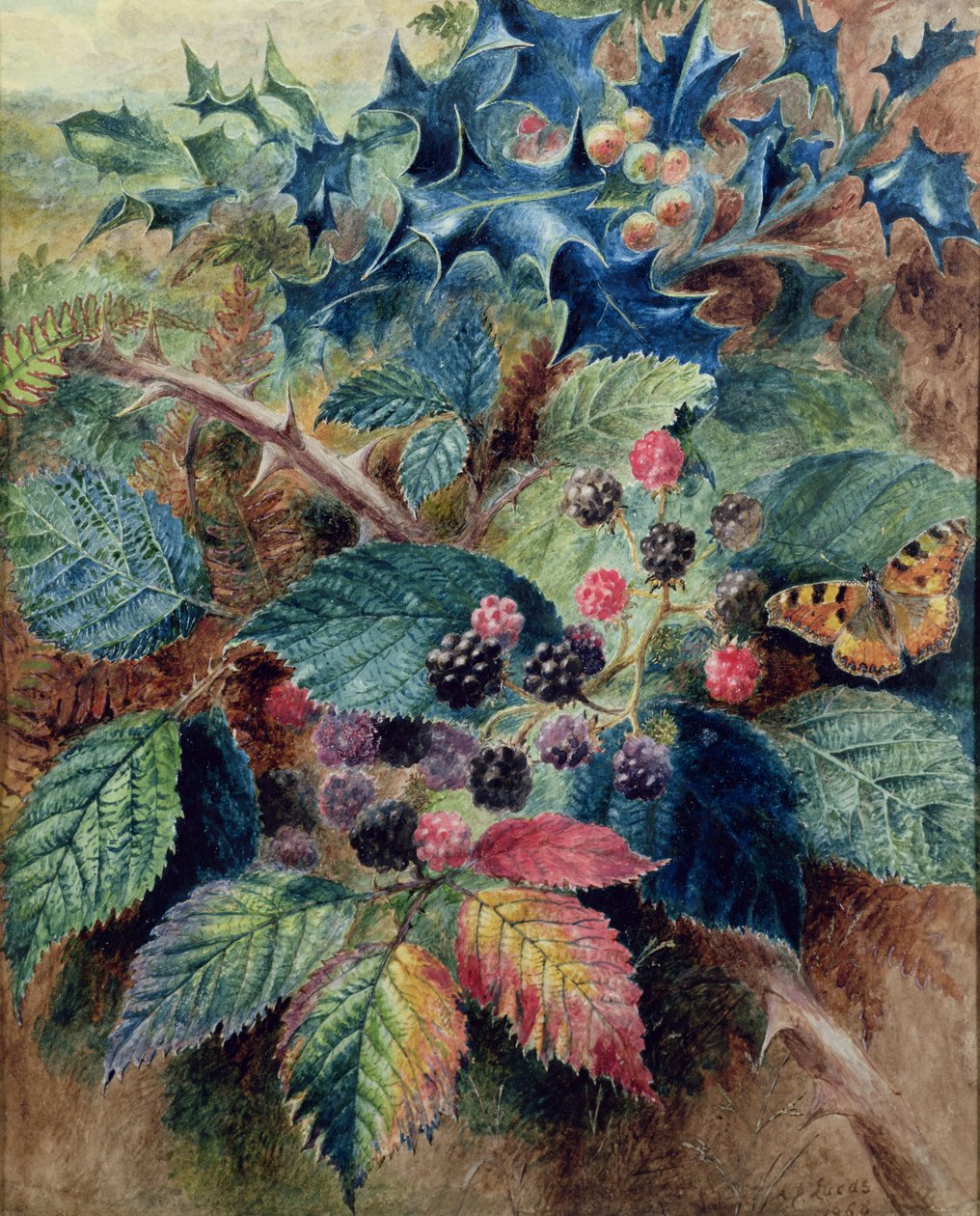 Björnbär och hassel med en fjäril av Albert Durer Lucas