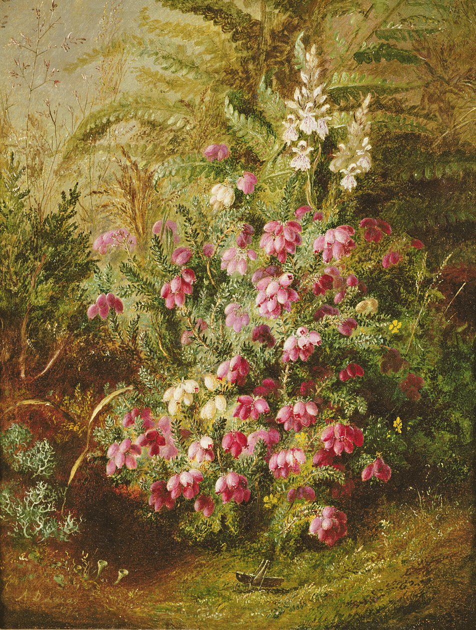 Gräshoppa och Ljung av Albert Durer Lucas