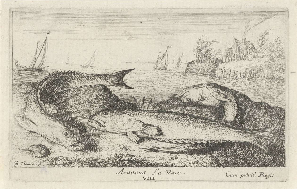 Tre fläckiga vivers på stranden Araneus. Livet. (titel på objekt) Fiskar och andra havsdjur - saltvattens andra serie (serietitel) Poissons de mer (serietitel) av Albert Flamen