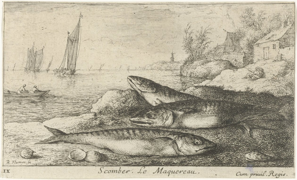 Tre makrillar på stranden Scomber. Le Maquereau. (titel på objekt) Fiskar och andra havsdjur - saltvatten första serie (serietitel) Diverses Especes de Poissons de mer (serietitel) av Albert Flamen