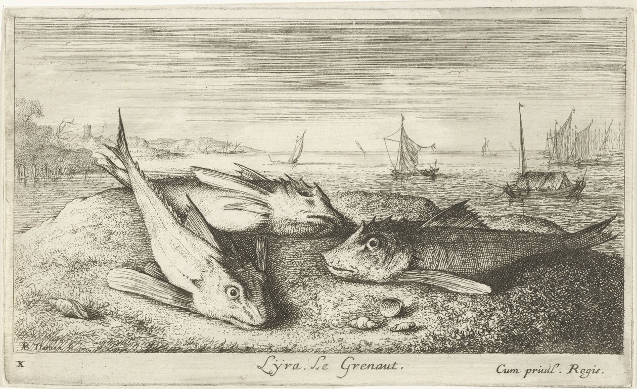 Tre saltvattenfiskar på stranden Lyta, Legrenaut. (titel på objekt) Fiskar och andra havsdjur - saltvatten första serie (serietitel) Diverses Especes de Poissons de mer (serietitel) av Albert Flamen