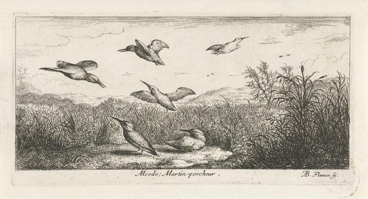 Landskap med kungsfiskare alcedo; Martin-pecrack. (titel på objekt) Fågelbok (serietitel) Livre d