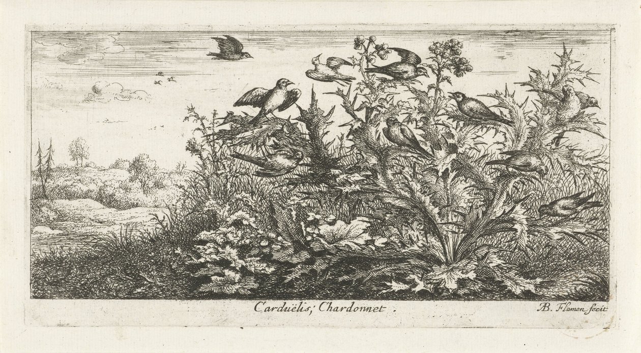 Landskap med guldfink i tistel Carduelis; Chardonneret. (titel på objekt) Fågelbok (serietitel) Livre d