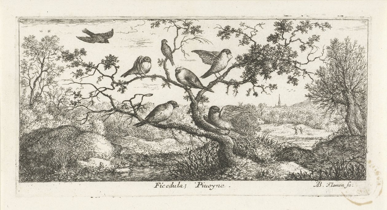 Landskap med snipor ficedula; Piuoyne. (titel på objekt) Fågelbok (serietitel) Livre d