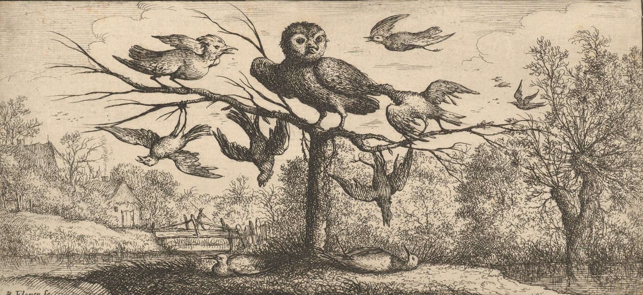 Monedula, Chouëtte Uggla: Livre d