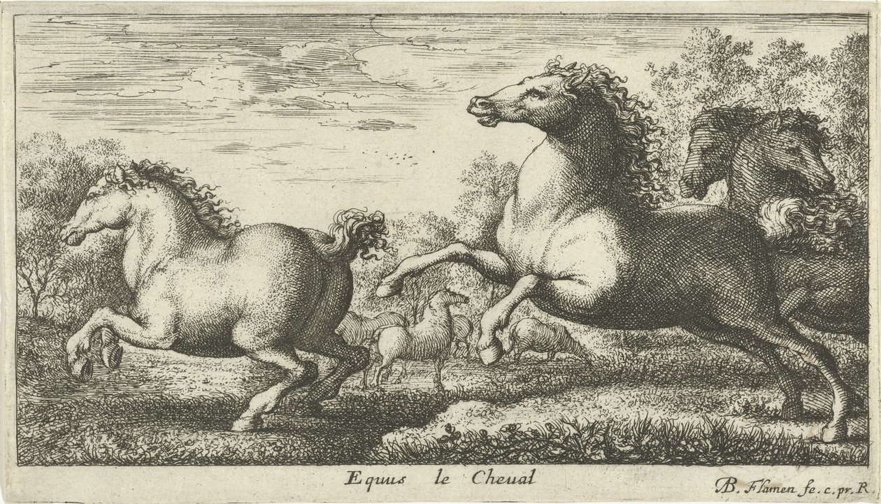 Hästar Equus le Cheval (titel på objekt) Olika djurarter (serietitel) av Albert Flamen