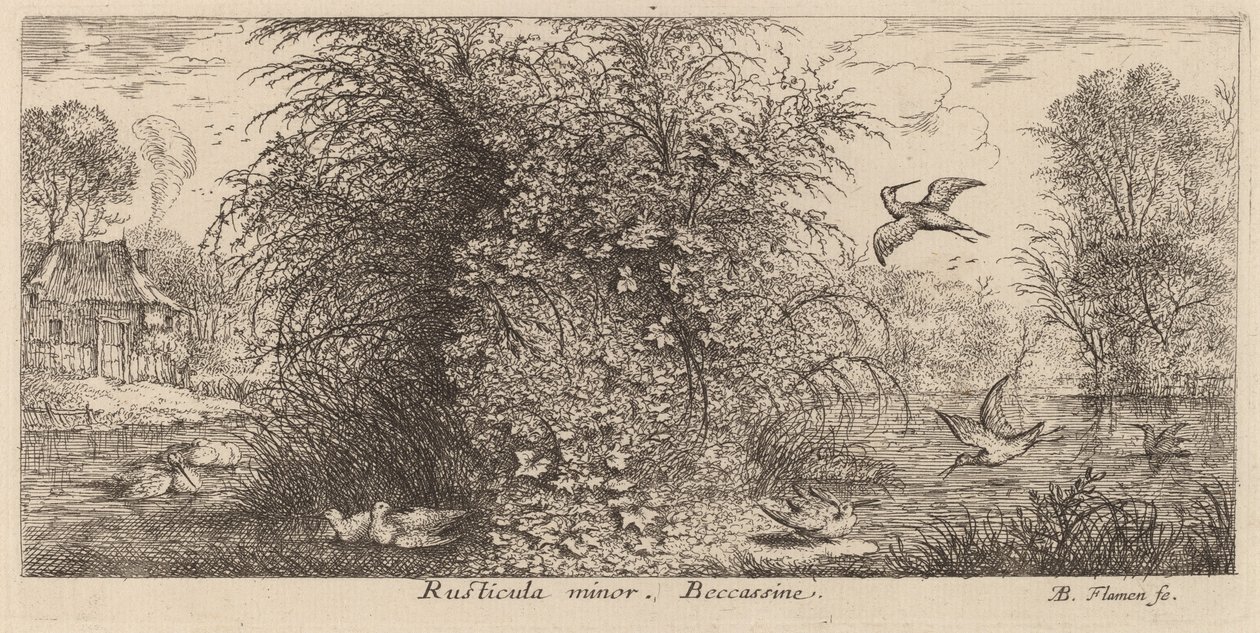 Rusticula moll, Snipen av Albert Flamen