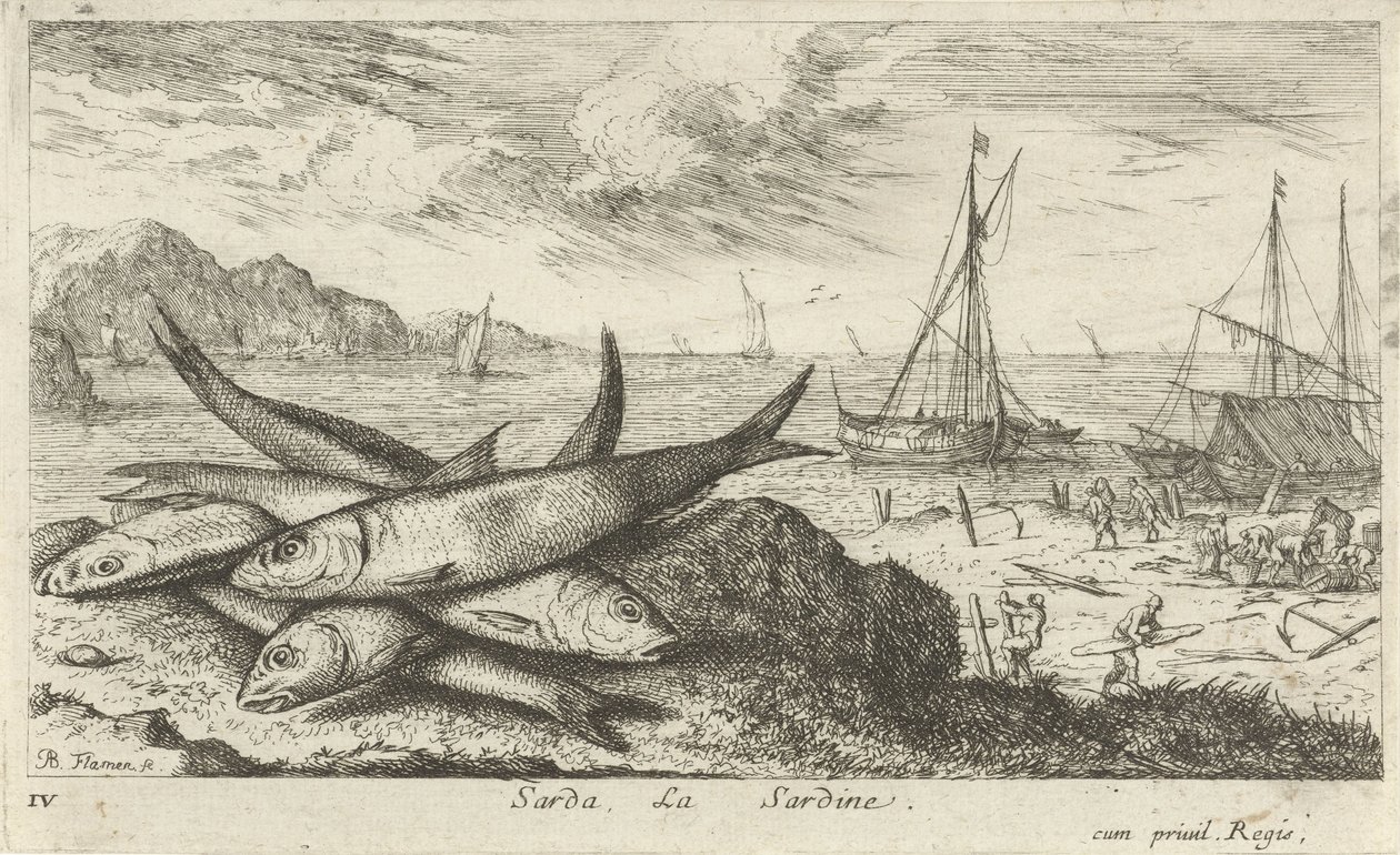 Sardiner på stranden Sarda, La Sardine. (titel på objekt) Fiskar och andra havsdjur - saltvatten första serie (serietitel) Diverse Especes de Poissons de mer (serietitel) av Albert Flamen