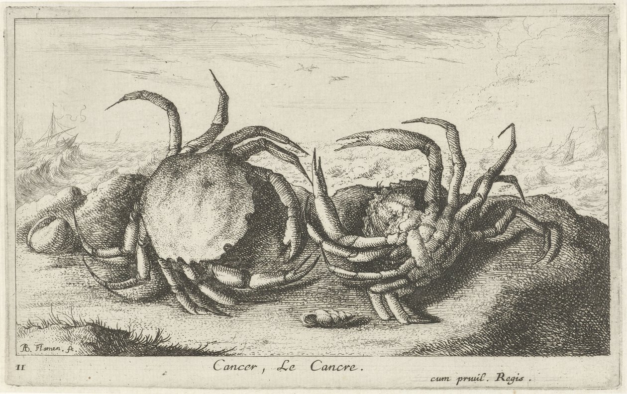 Två krabbor på stranden Cancer, Le Cancre (titel på objekt) Fiskar och andra havsdjur - saltvatten första serie (serietitel) Diverse Especes de Poissons de mer (serietitel) av Albert Flamen