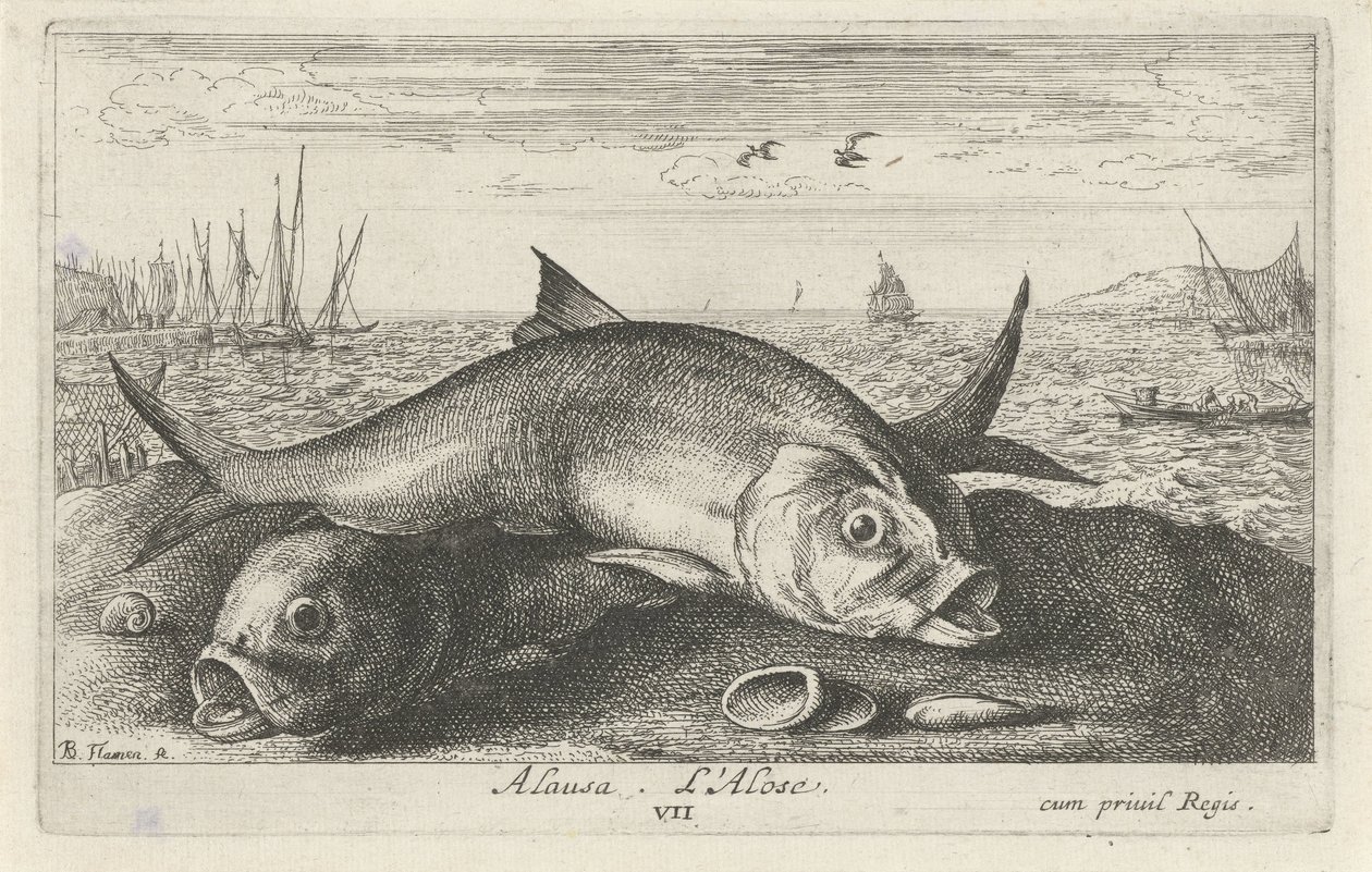 Två får fiska på stranden alausa. L